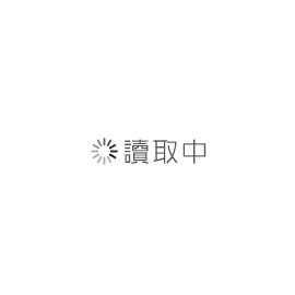 無溶劑型皮革